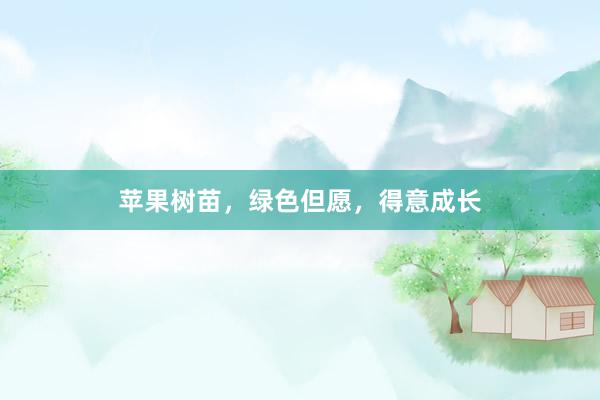 苹果树苗，绿色但愿，得意成长