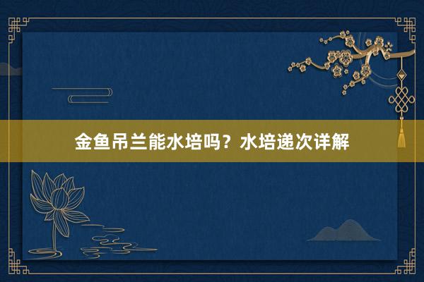 金鱼吊兰能水培吗？水培递次详解