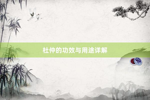 杜仲的功效与用途详解